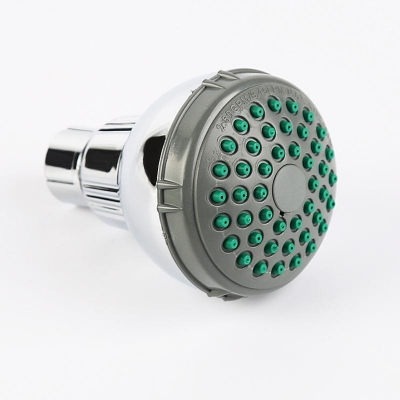 9cm Shower Head with arm